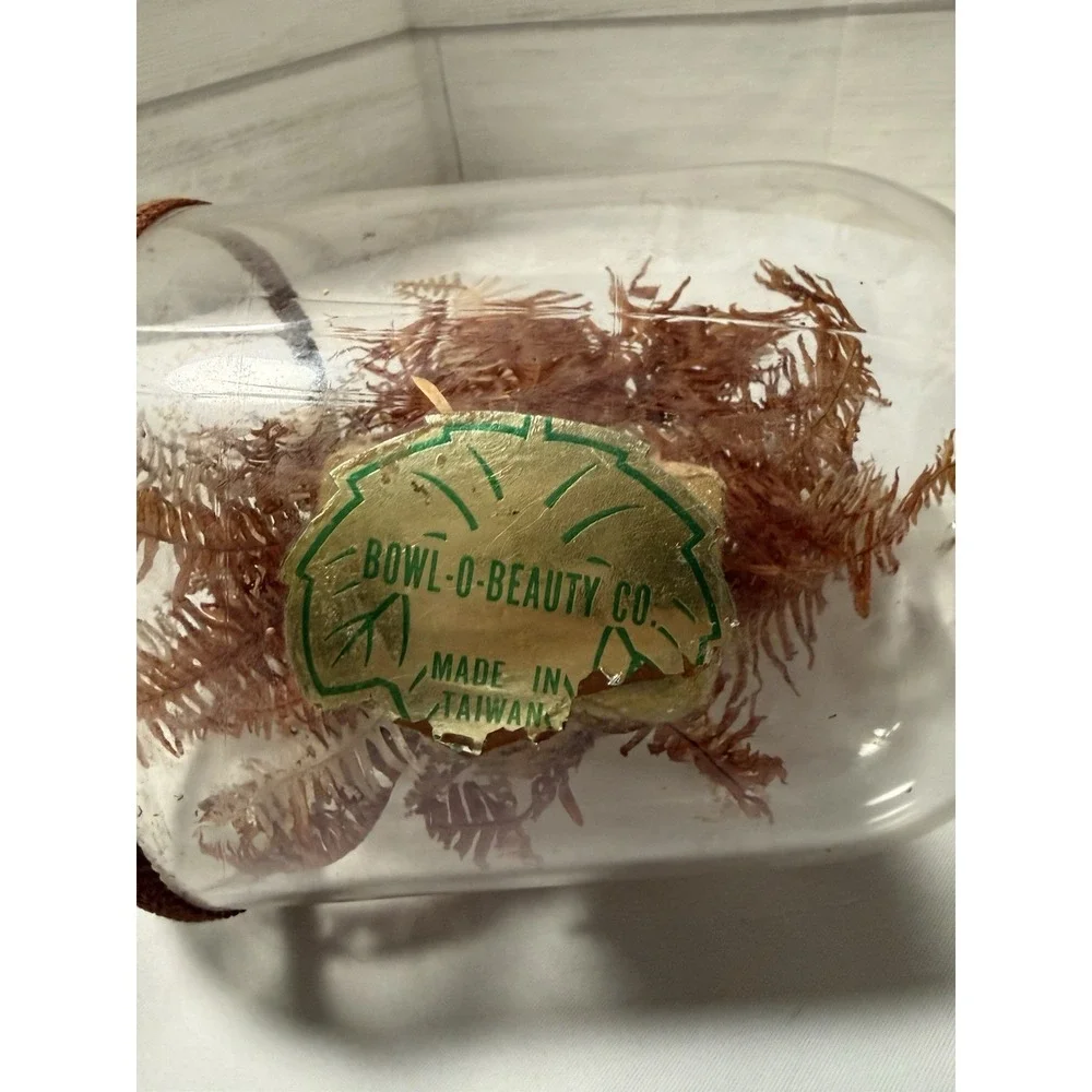 Vintage Bowl O Beauty Plant In A Bottle , Mcm ,‎ Brown Floral Made In Thailand